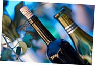 How To Make Money From Micro Stock Photography